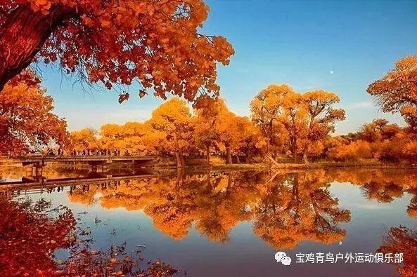 不朽星球